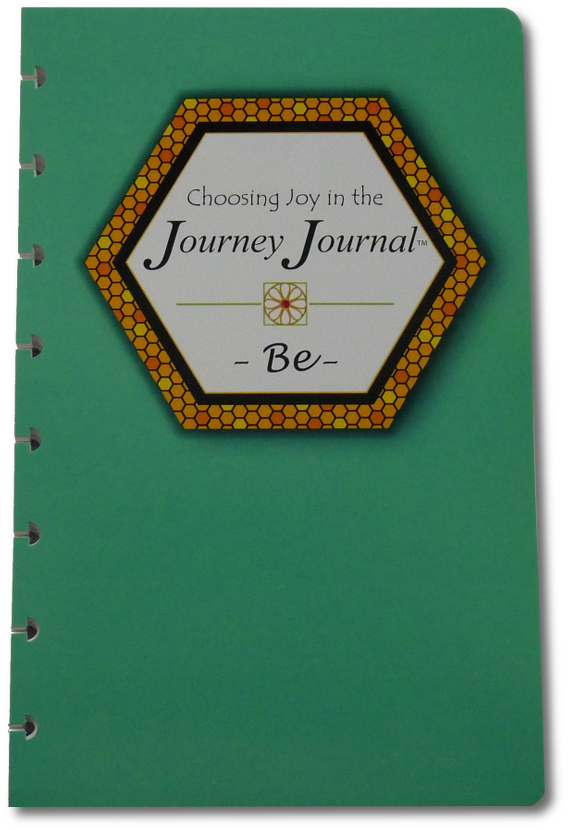 Choosing Joy in the Journey Journal -Be- DISC punched - Click Image to Close