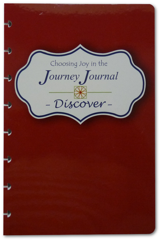 Choosing Joy in the Journey Journal -Discover- DISC punched - Click Image to Close